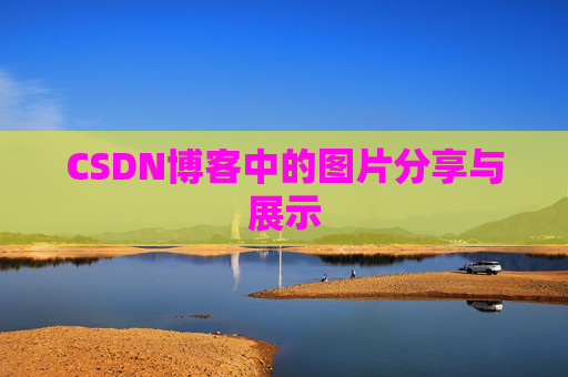 CSDN博客中的图片分享与展示